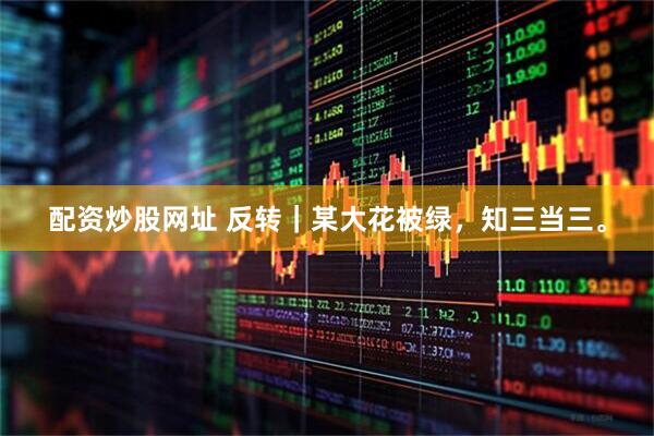 配资炒股网址 反转｜某大花被绿，知三当三。