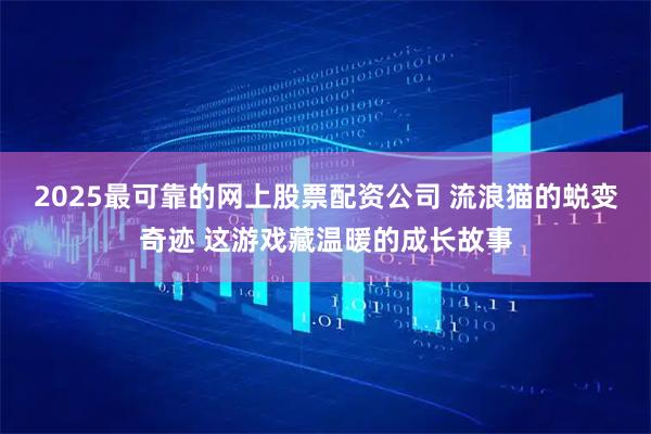 2025最可靠的网上股票配资公司 流浪猫的蜕变奇迹 这游戏藏温暖的成长故事